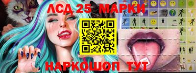 PSILOCYBIN Нальчик