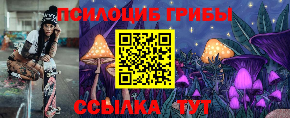Великий Новгород  Псилоцибиновые грибы MAGIC MUSHROOMS  Вход с VPN 