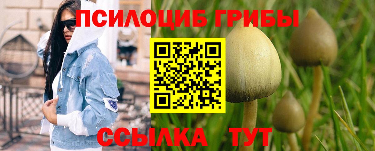 Галлюциногенные грибы Cubensis Великий Новгород